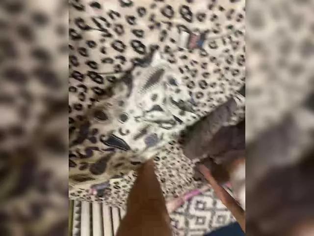 blackfriend18 — Playing pranks with guests