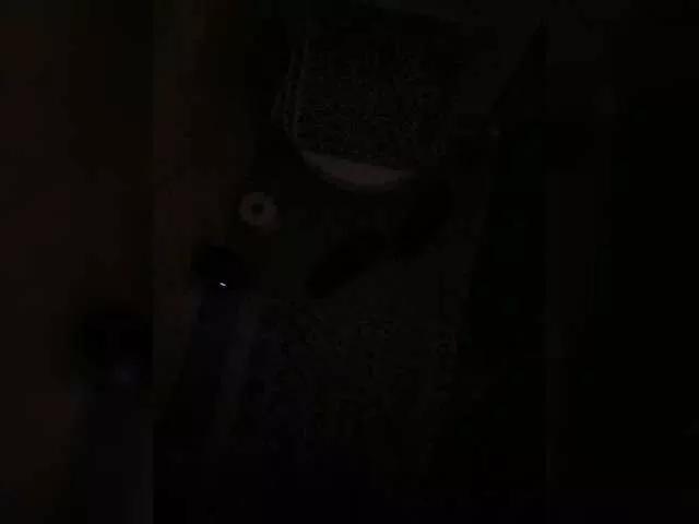 Gesaffelstein from BongaCams is Freechat