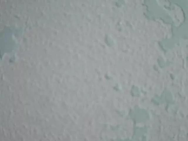 YoloLove on BongaCams 