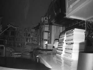 voyeurcam-bridgetleewalters-02 from CamSoda is Freechat