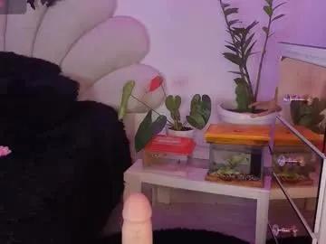 korolovaa on Chaturbate 