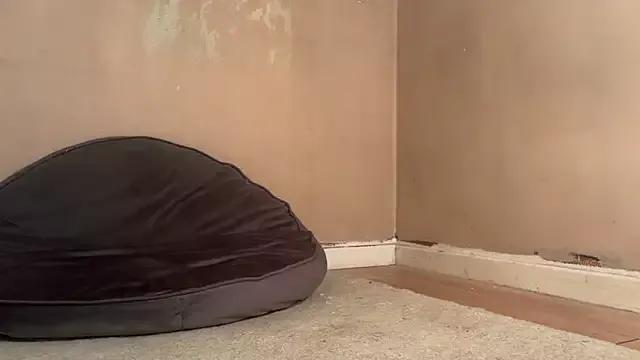 jennytwinkle69 from StripChat