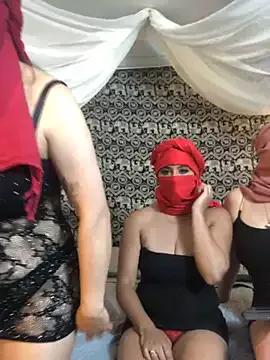 TheHarem on StripChat 